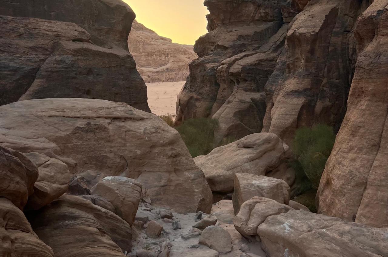 Wild Of Wadi Rum Exterior photo